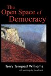 The Open Space of Democracy - 圖片 1