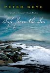 Safe from the Sea - 圖片 1