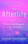The Afterlife: What Really Happens in the Hereafter - 圖片 1