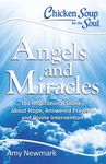 Chicken Soup for the Soul: Angels and Miracles: 101 Inspirational Stories about Hope, Answered Prayers, and Divine Intervention - 圖片 1