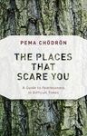 The Places That Scare You: A Guide to Fearlessness in Difficult Times - 圖片 1