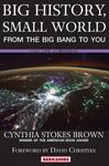 Big History, Small World: From the Big Bang to You - 圖片 1