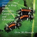 Lepidopteran Zoology: How to Keep Moths, Butterflies, Caterpillars, and Chrysalises - 圖片 1