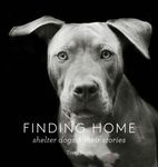 Finding Home: Shelter Dogs and Their Stories - 圖片 1