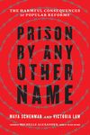 Prison by Any Other Name: The Harmful Consequences of Popular Reforms - 圖片 1