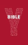 Youcat Bible - 圖片 1