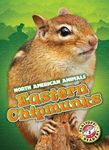Eastern Chipmunks - 圖片 1