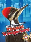 Pileated Woodpeckers - 圖片 1