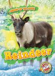Reindeer - 圖片 1