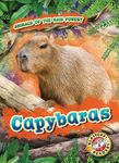 Capybaras - 圖片 1