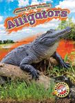 Alligators - 圖片 1
