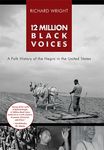 12 Million Black Voices - 圖片 1