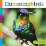 Hummingbirds - 圖片 1