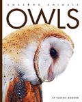 Owls - 圖片 1