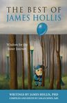 The Best of James Hollis: Wisdom for the Inner Journey - 圖片 1