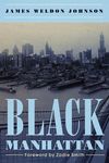 Black Manhattan - 圖片 1