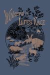 Winners in Life's Race (Yesterday's Classics) - 圖片 1