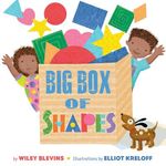 Big Box of Shapes - 圖片 1