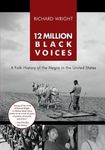 12 Million Black Voices - 圖片 1