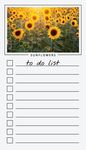 To Do List Notepad: Sunflowers, Checklist, Task Planner for Grocery Shopping, Planning, Organizing - 圖片 1