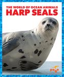 Harp Seals - 圖片 1