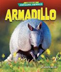 Armadillo - 圖片 1