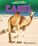 Camel - 圖片 1