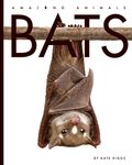 Bats - 圖片 1
