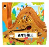 Discovering the Active World of the Anthill - 圖片 1