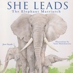 She Leads: The Elephant Matriarch - 圖片 1