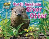 North American River Otter - 圖片 1