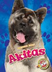 Akitas - 圖片 1