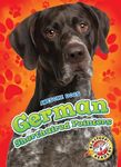German Shorthaired Pointers - 圖片 1