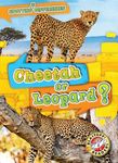 Cheetah or Leopard? - 圖片 1