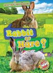 Rabbit or Hare? - 圖片 1