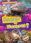 Beaver or Muskrat? - 圖片 1