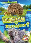 Hedgehog or Porcupine? - 圖片 1