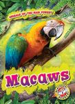 Macaws - 圖片 1