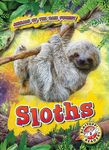 Sloths - 圖片 1