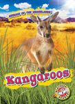 Kangaroos - 圖片 1
