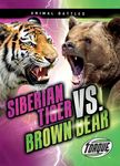 Siberian Tiger vs. Brown Bear - 圖片 1