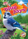 Blue Jays - 圖片 1