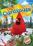Cardinals - 圖片 1