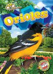 Orioles - 圖片 1