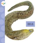 Eels - 圖片 1