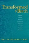 Transformed by Birth: Cultivating Openness, Resilience, and Strength for the Life-Changing Journey from Pregnancy to Parenthood - 圖片 1