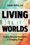 Living Between Worlds: Finding Personal Resilience in Changing Times - 圖片 1