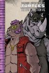 Teenage Mutant Ninja Turtles: The IDW Collection Volume 8 - 圖片 1