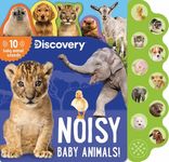 Discovery: Noisy Baby Animals! - 圖片 1