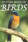Picture Book of Birds: For Seniors with Dementia [Colorful Picture Books] - 圖片 1